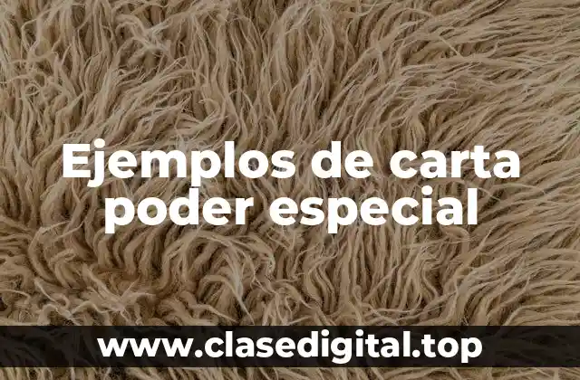 Ejemplos de carta poder especial