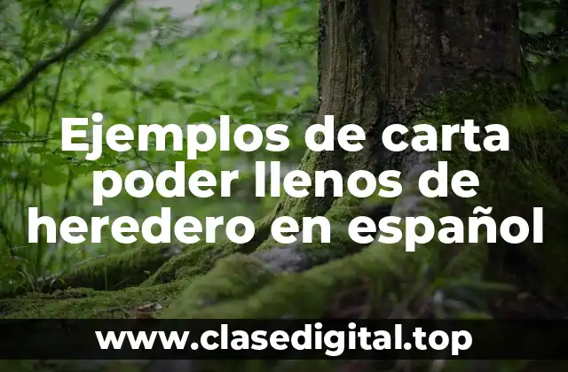 Ejemplos de carta poder llenos de heredero en español