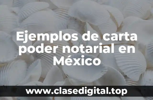 Ejemplos de carta poder notarial en México
