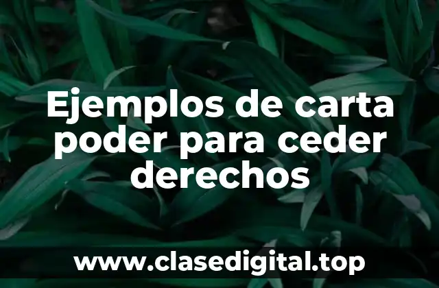 Ejemplos de carta poder para ceder derechos