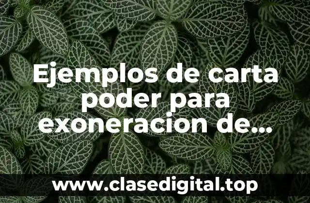 Ejemplos de carta poder para exoneración de multa