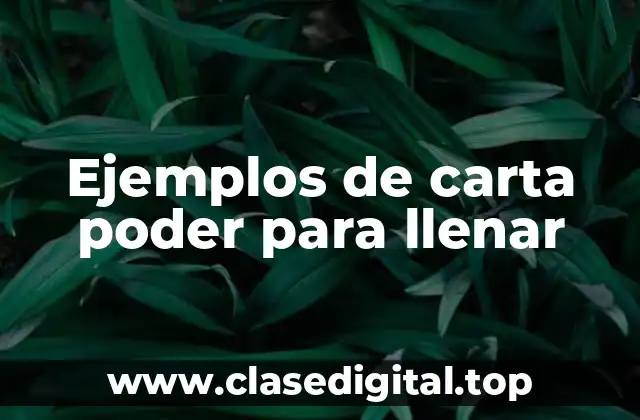 Ejemplos de carta poder para llenar