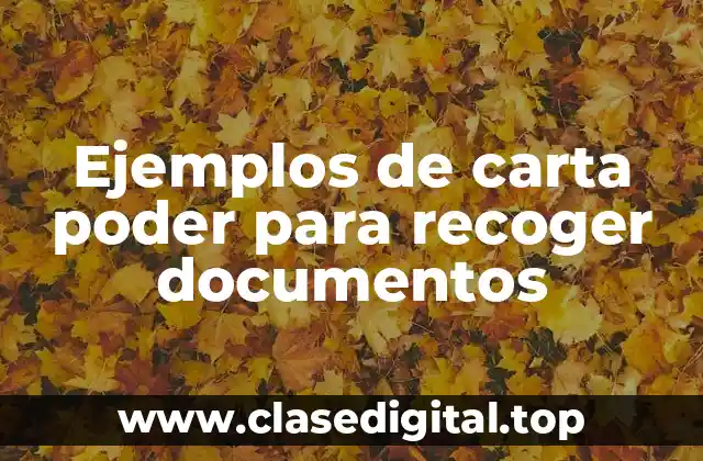Ejemplos de carta poder para recoger documentos