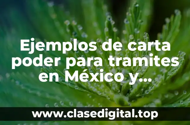 Ejemplos de carta poder para tramites en México y Significado