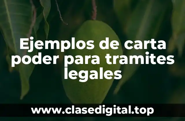 Ejemplos de carta poder para tramites legales