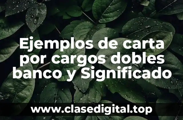Ejemplos de carta por cargos dobles banco y Significado