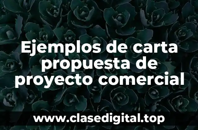 Ejemplos de carta propuesta de proyecto comercial