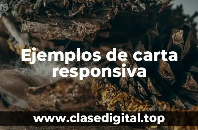 Ejemplos de carta responsiva