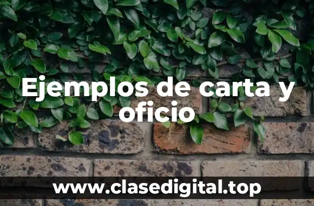 Ejemplos de carta y oficio