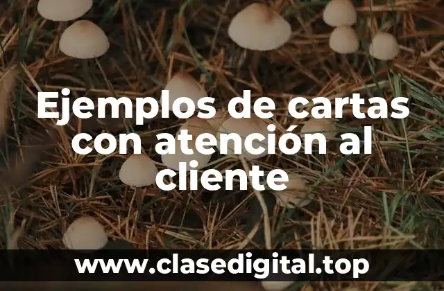 Ejemplos de cartas con atención al cliente