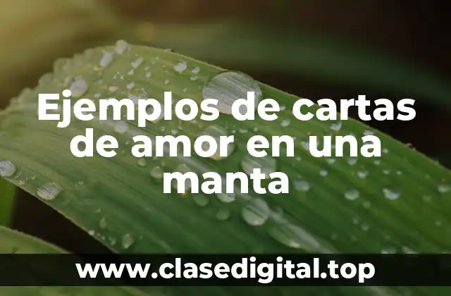 Ejemplos de cartas de amor en una manta