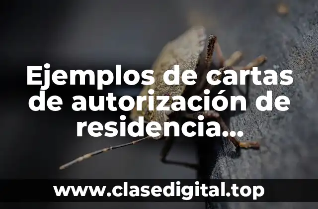 Ejemplos de cartas de autorización de residencia profesional