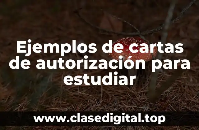 Ejemplos de cartas de autorización para estudiar