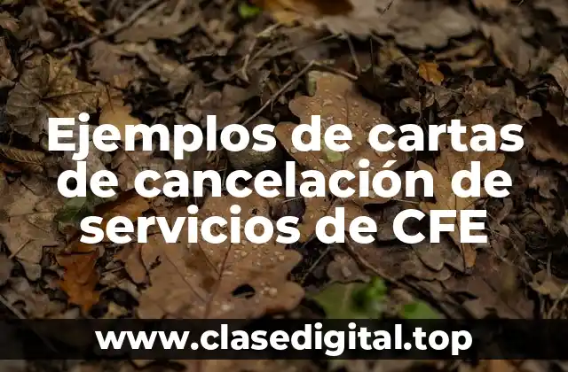 Ejemplos de cartas de cancelación de servicios de CFE