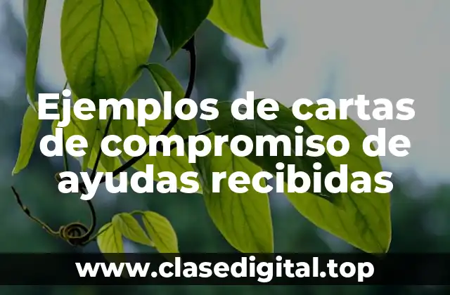 Ejemplos de cartas de compromiso de ayudas recibidas
