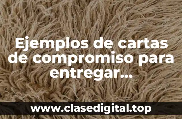 Ejemplos de cartas de compromiso para entregar documentos