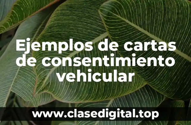Ejemplos de cartas de consentimiento vehicular