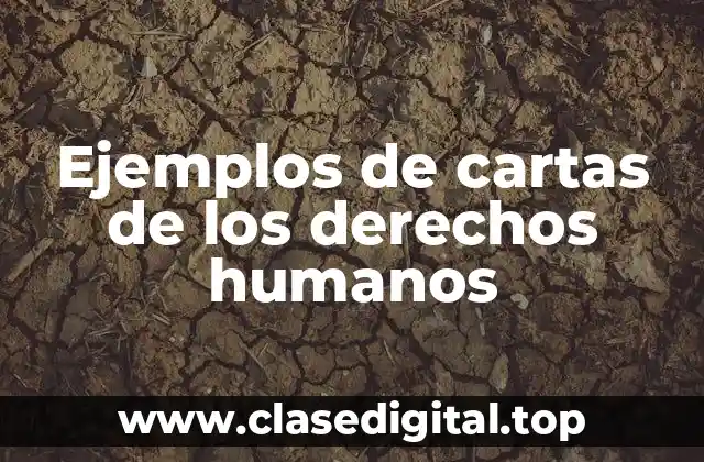 Ejemplos de cartas de los derechos humanos