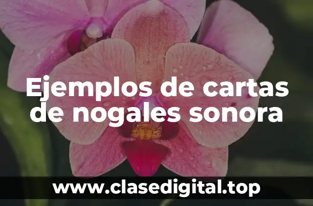Ejemplos de cartas de nogales sonora