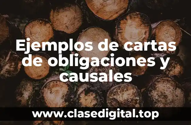 Ejemplos de cartas de obligaciones y causales