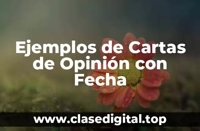 Ejemplos de Cartas de Opinión con Fecha
