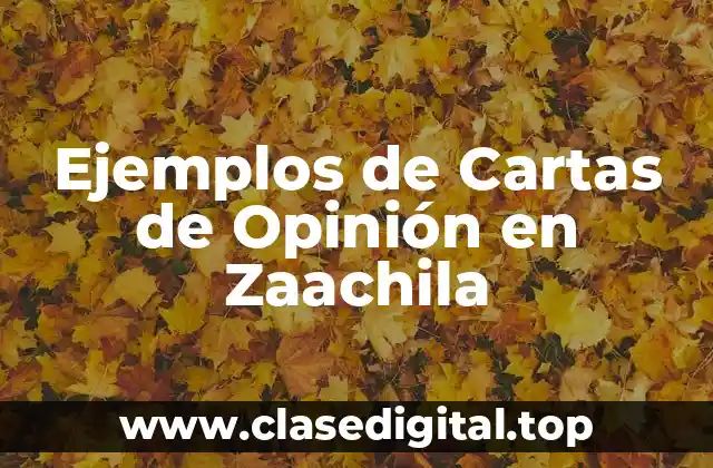 Ejemplos de Cartas de Opinión en Zaachila