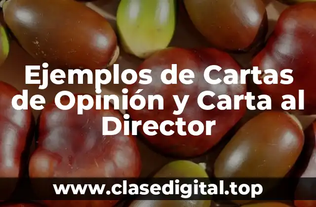 Ejemplos de Cartas de Opinión y Carta al Director