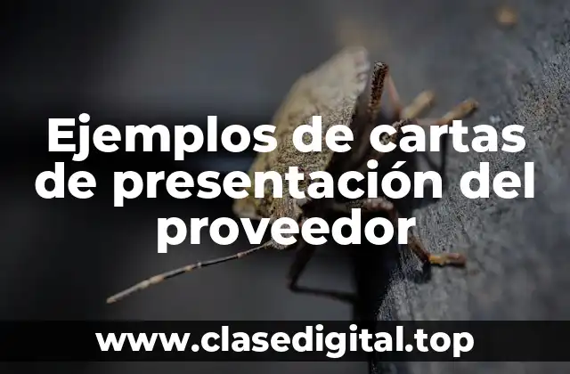 Ejemplos de cartas de presentación del proveedor