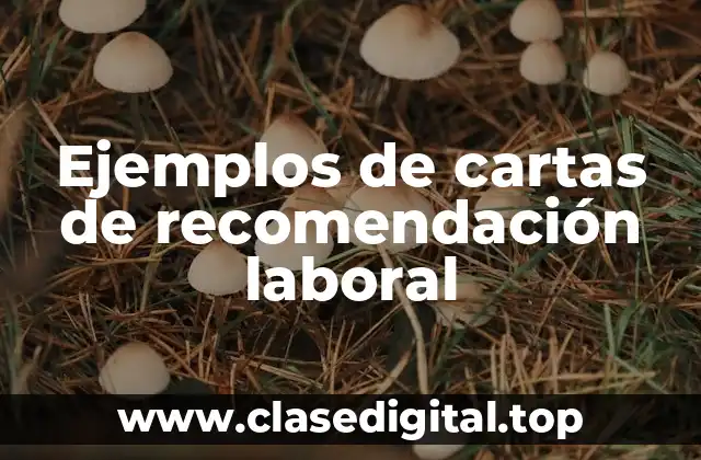 Ejemplos de cartas de recomendación laboral