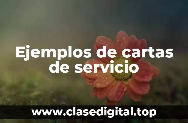 Ejemplos de cartas de servicio
