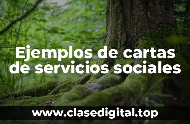 Ejemplos de cartas de servicios sociales