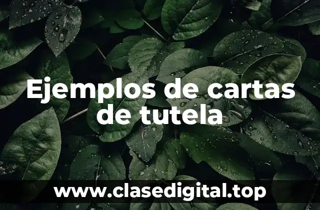 Ejemplos de cartas de tutela