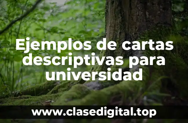 Ejemplos de cartas descriptivas para universidad