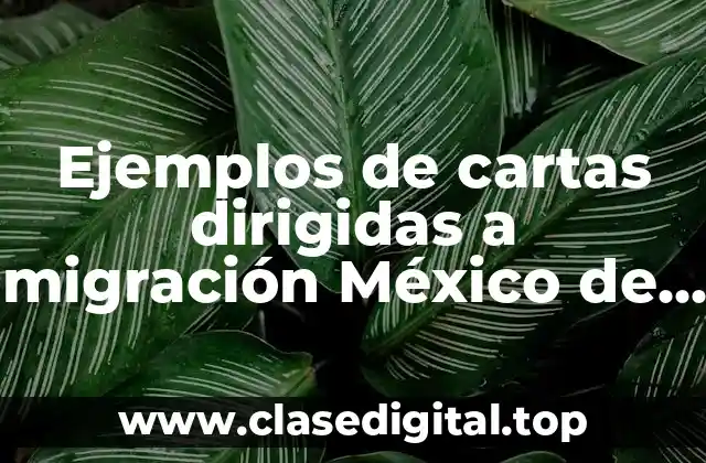 Ejemplos de cartas dirigidas a migración México de actualizaciones