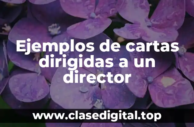 Ejemplos de cartas dirigidas a un director