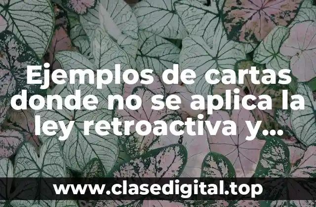 Ejemplos de cartas donde no se aplica la ley retroactiva y Significado