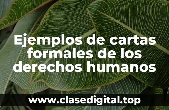Ejemplos de cartas formales de los derechos humanos