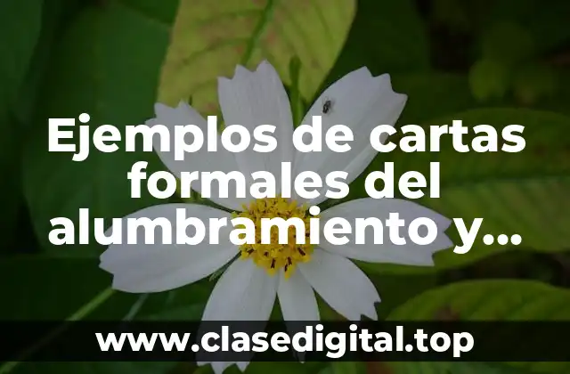 Ejemplos de cartas formales del alumbramiento