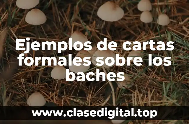 Ejemplos de cartas formales sobre los baches