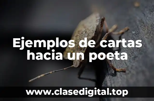 Ejemplos de cartas hacia un poeta