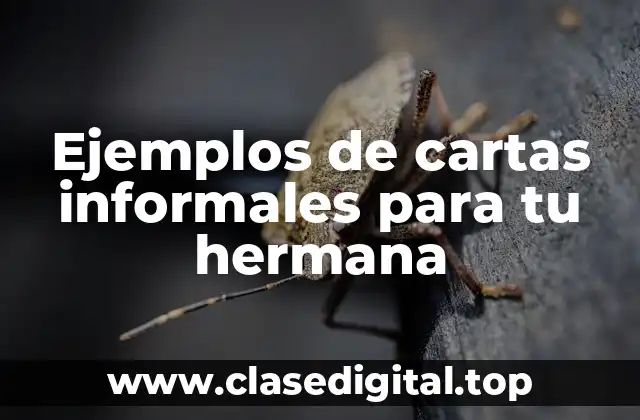 Ejemplos de cartas informales para tu hermana