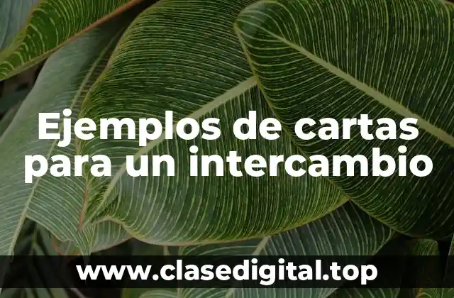 Ejemplos de cartas para un intercambio