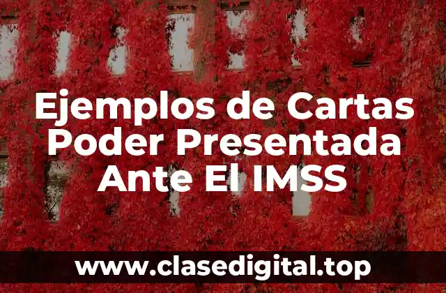 Ejemplos de Cartas Poder Presentada Ante El IMSS