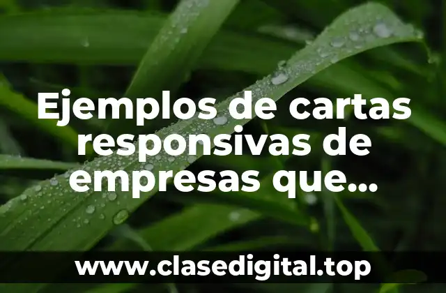 Ejemplos de cartas responsivas en el turismo