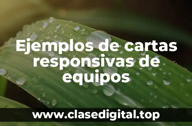 Ejemplos de cartas responsivas de equipos