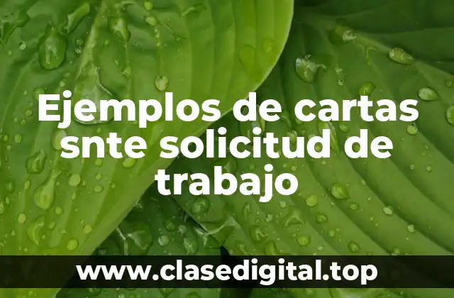 Ejemplos de cartas snte solicitud de trabajo