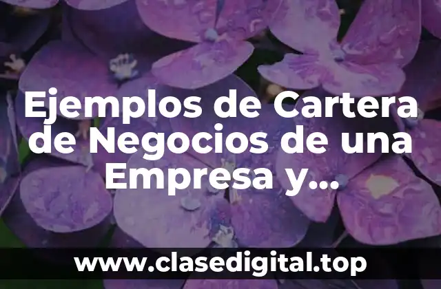 Ejemplos de Cartera de Negocios de una Empresa y Significado