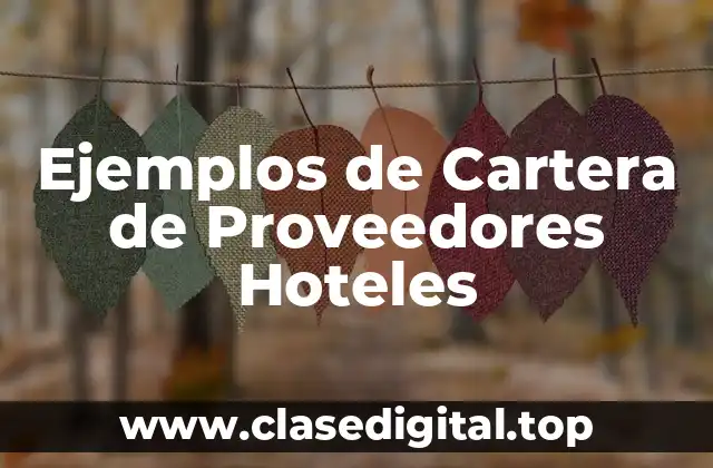 Ejemplos de Cartera de Proveedores Hoteles