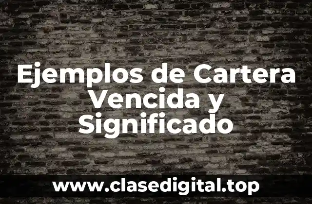 Ejemplos de Cartera Vencida y Significado