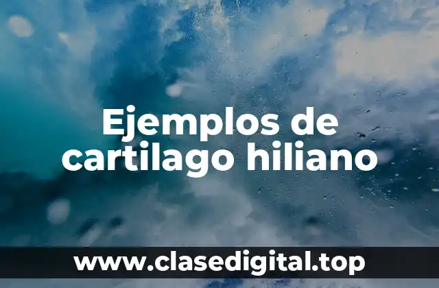 Ejemplos de cartilago hiliano